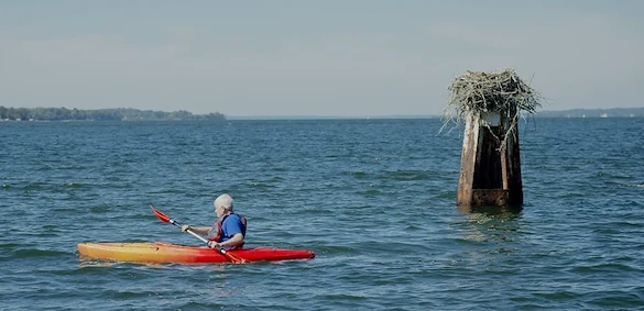 Image of Asbury Solomons (8)