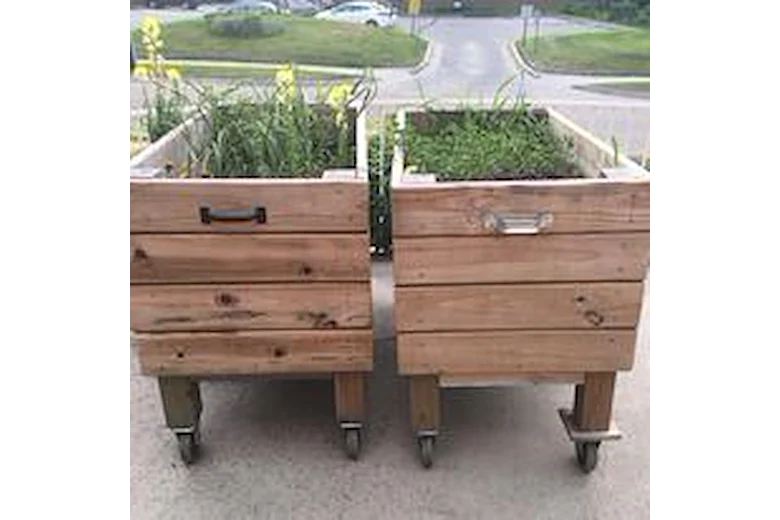 Image of The Gardens at Luther Park Community (4)