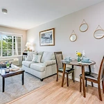 Image of The Orchard Sky (2)