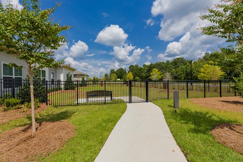 Image of The Grove at Canopy (7)