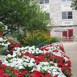 Image of Transitions Healthcare Shook Home (2)