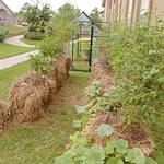 Image of Regency Retirement Village of Tuscaloosa (3)
