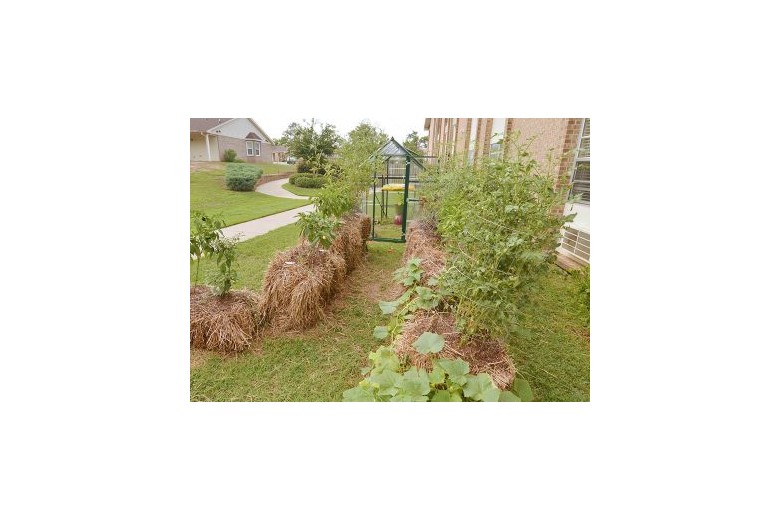 Image of Regency Retirement Village of Tuscaloosa (3)