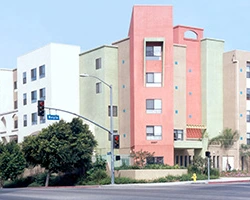 Image of Colonia Jess Lopez (2)