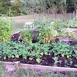 Image of Ahepa 489 Senior Apartments (4)