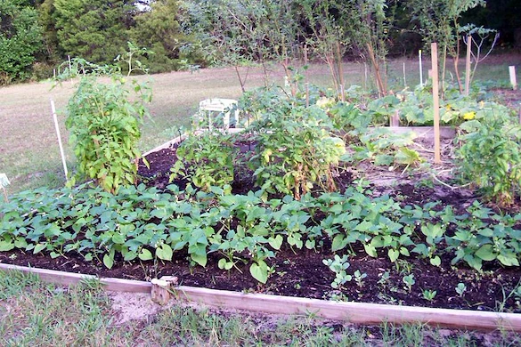 Image of Ahepa 489 Senior Apartments (4)