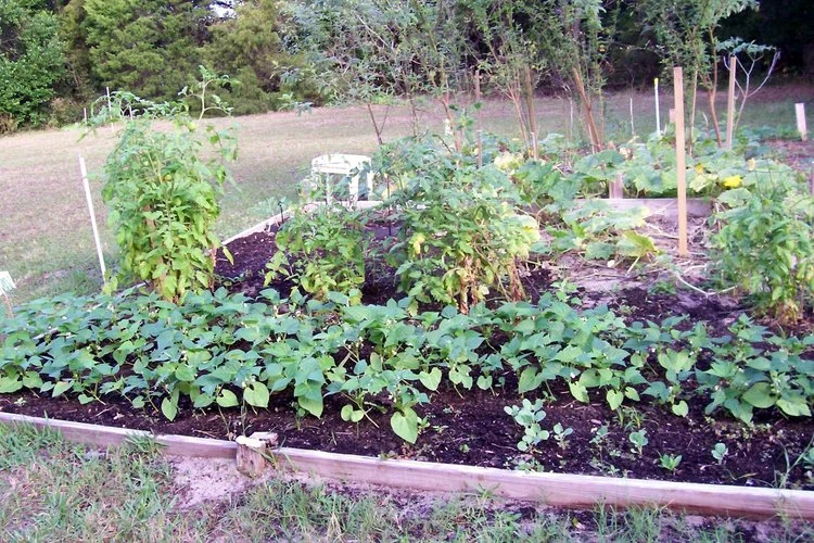 Image of Ahepa 489 Senior Apartments (4)