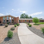 Image of Willow Tree (1)