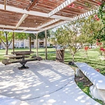 Image of Palacio Del Sol Senior Apartments (9)