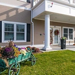 Image of Windrose at Woburn (1)