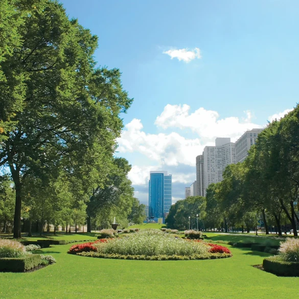 Image of The Apartments at 1251 South Michigan (4)