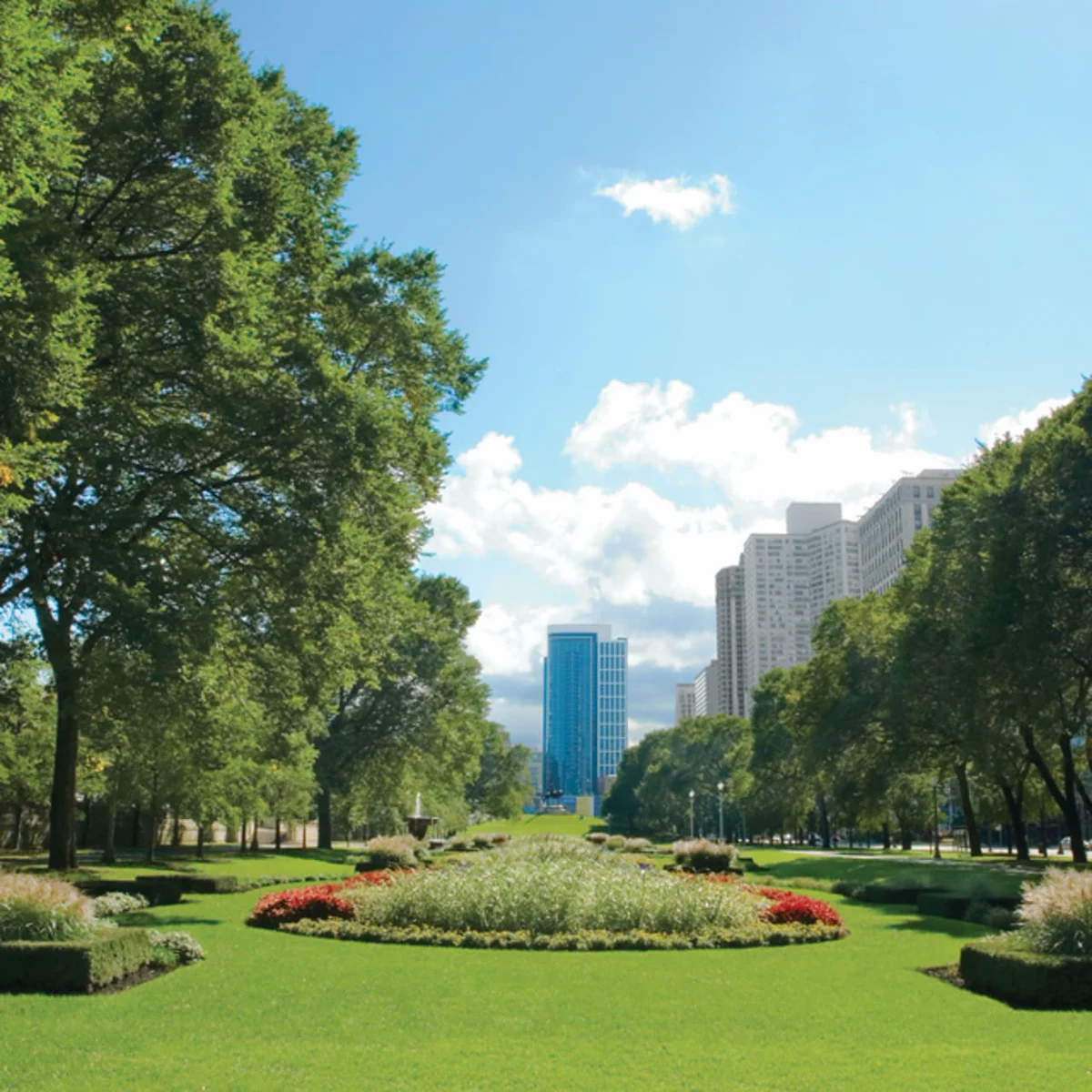 Image of The Apartments at 1251 South Michigan (4)