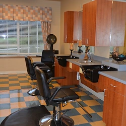 Image of Palma Real (3)