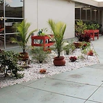 Image of Carlton Shores Healthcare And Rehabilitation Cente (5)