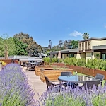 Image of Merrill Gardens at Lafayette (6)