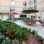 Image of The Atrium at Boca Raton (3)