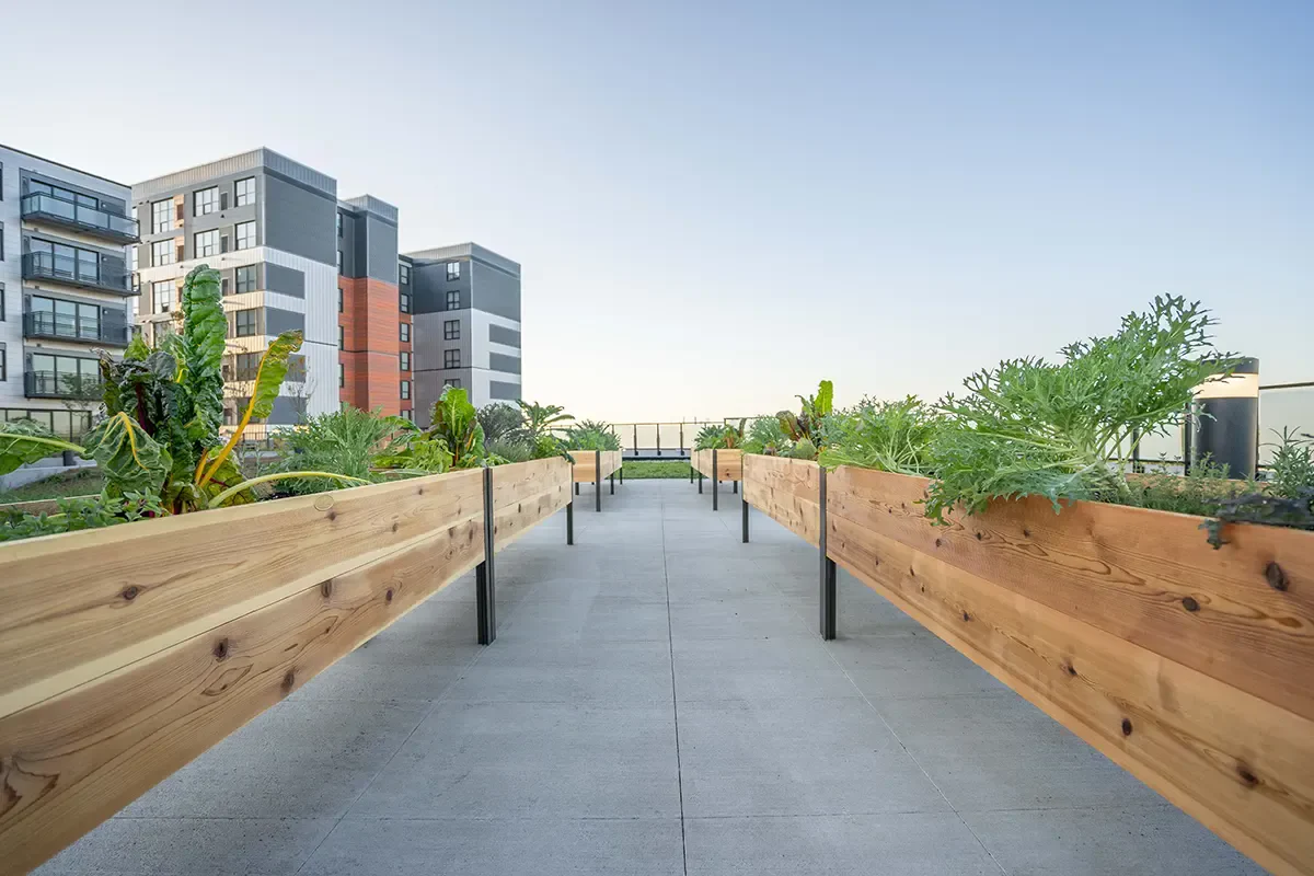 Image of Newman Lofts (7)