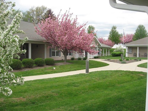 Image of Linden Village (10)