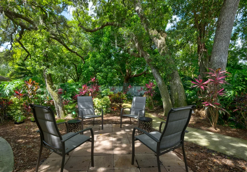 Image of Discovery Commons at Bradenton (7)