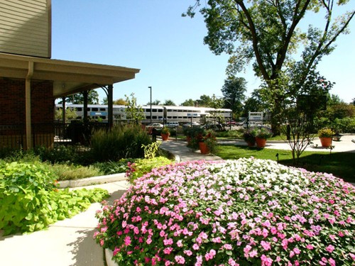 Image of Assisted Living at Norwood Crossing (9)