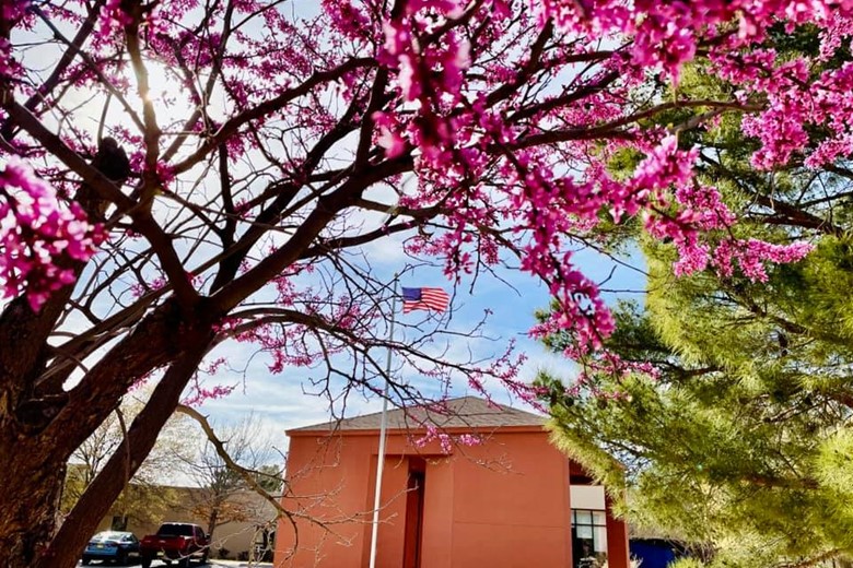 Image of Desert Springs Health Care (1)