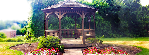 Image of Truewood by Merrill, Glen Riddle (2)