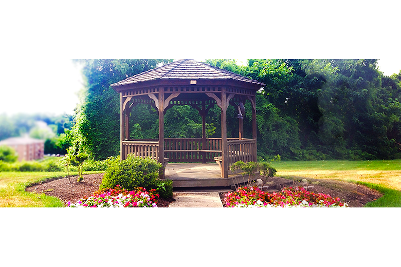 Image of Truewood by Merrill, Glen Riddle (2)