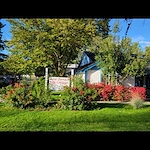 Image of Rose Terrace Cottages (2)