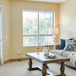 Image of Carlton Concord (3)