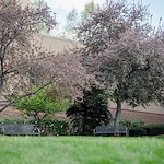 Image of The Groves Rosewood Health & Rehab Center (4)