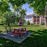 Image of Tall Trees (4)