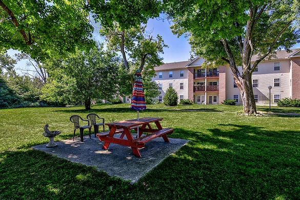 Image of Tall Trees (4)