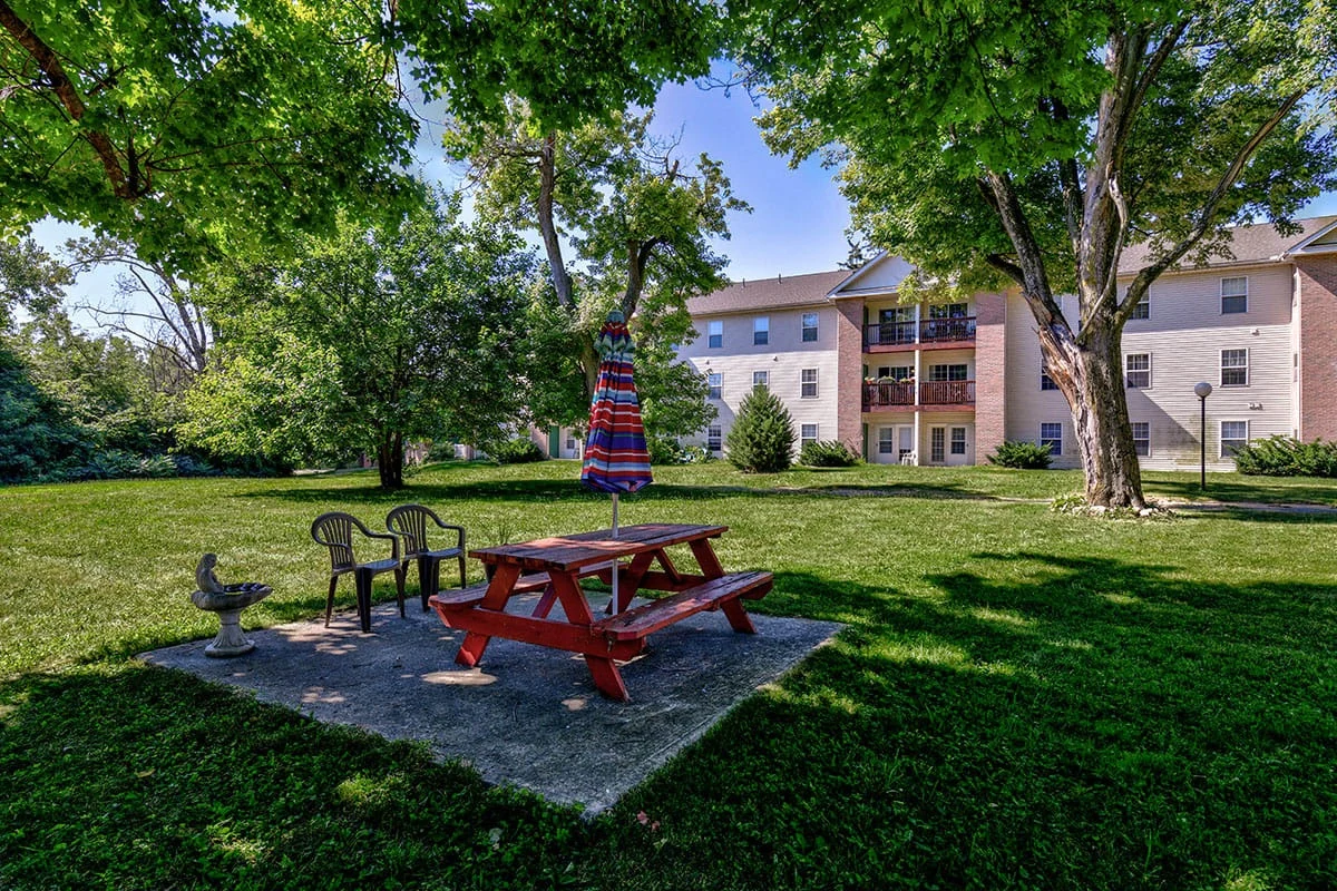 Image of Tall Trees (4)