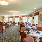 Image of Brookdale Spruce Wood (6)