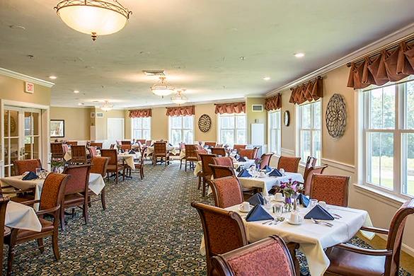 Image of Brookdale Spruce Wood (6)