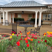 Image of Dogwood Village Of Orange County Health And Rehab (2)