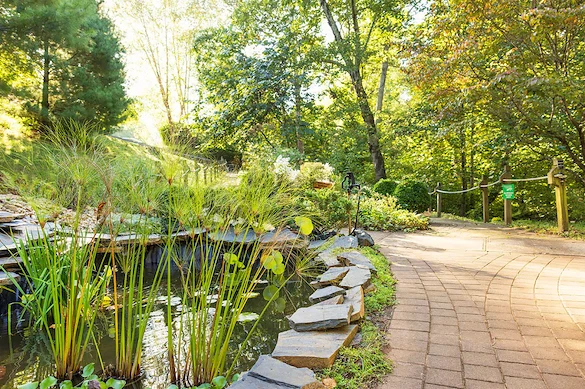 Image of Westminster-Canterbury Of Lynchburg Inc (6)