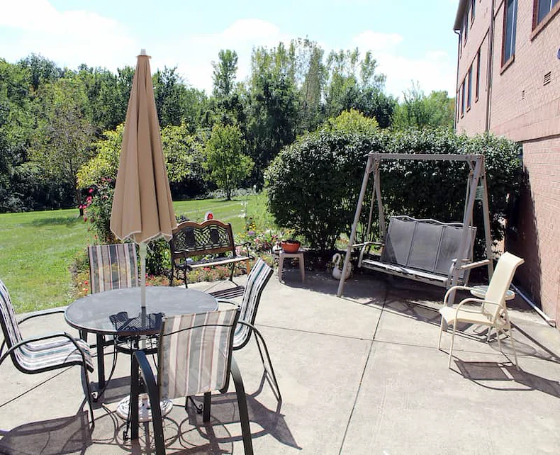 Image of Cherry Blossom (5)