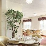 Image of Holiday Farmington (2)