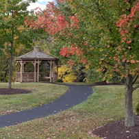 Image of Kendal At Ithaca (3)