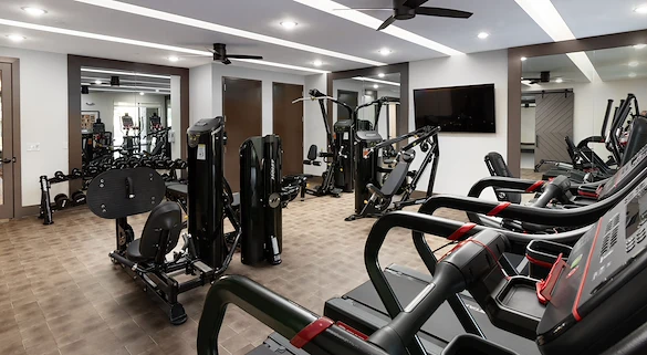 Image of Everleigh Duluth (3)