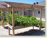 Image of Waterford Senior Living (8)