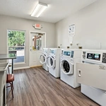 Image of Ventana De Vida (8)