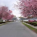 Image of Manchester Rehabilitation and Healthcare Center (2)