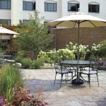 Image of Whitehall Of Deerfield (3)