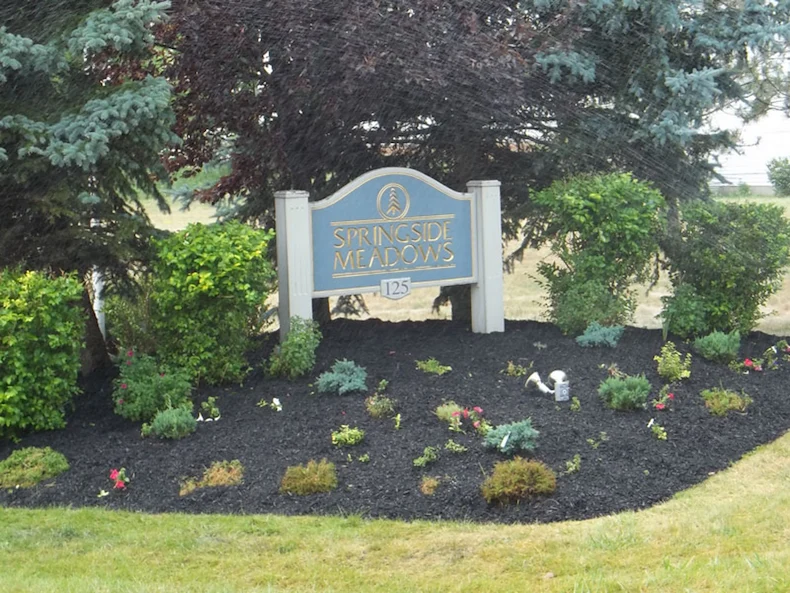 Image of Springside Meadows (1)