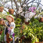 Image of Westminster Suncoast (3)