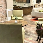 Image of Sycamore Creek Ranch at Shenandoah (4)