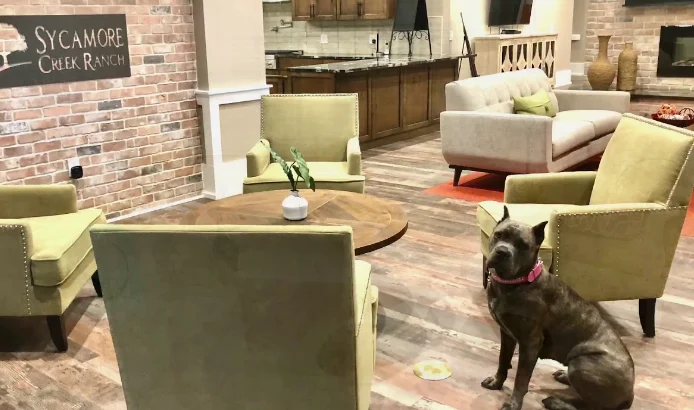 Image of Sycamore Creek Ranch at Shenandoah (4)