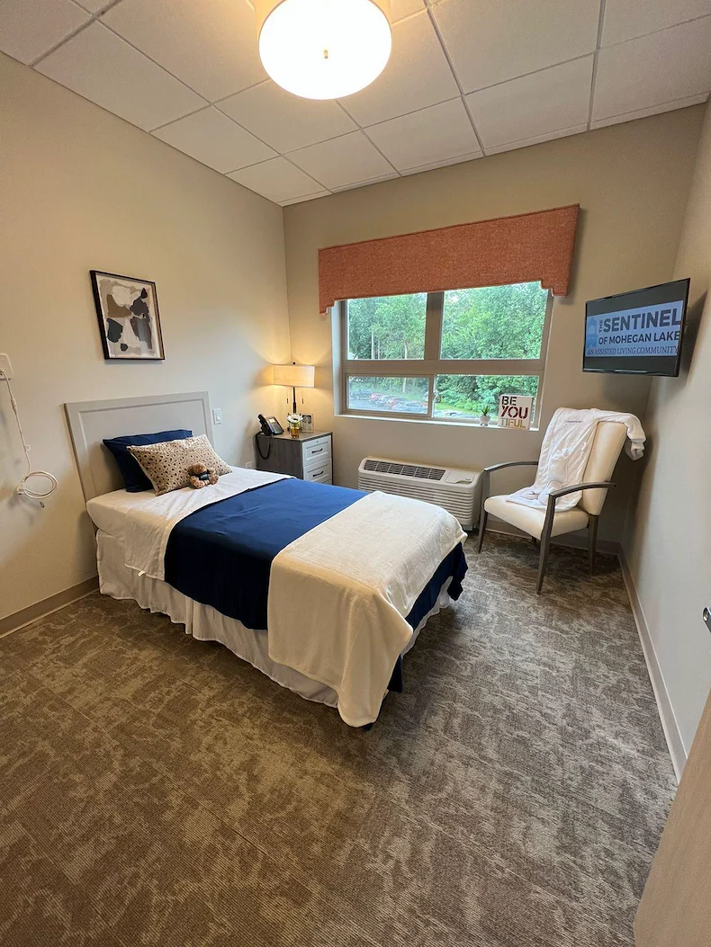 Image of The Sentinel of Mohegan Lake (2)